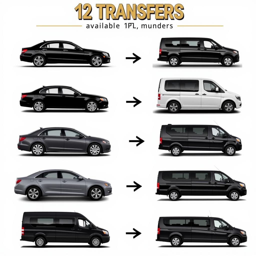 Diverse Fleet Options for 12 Transfers