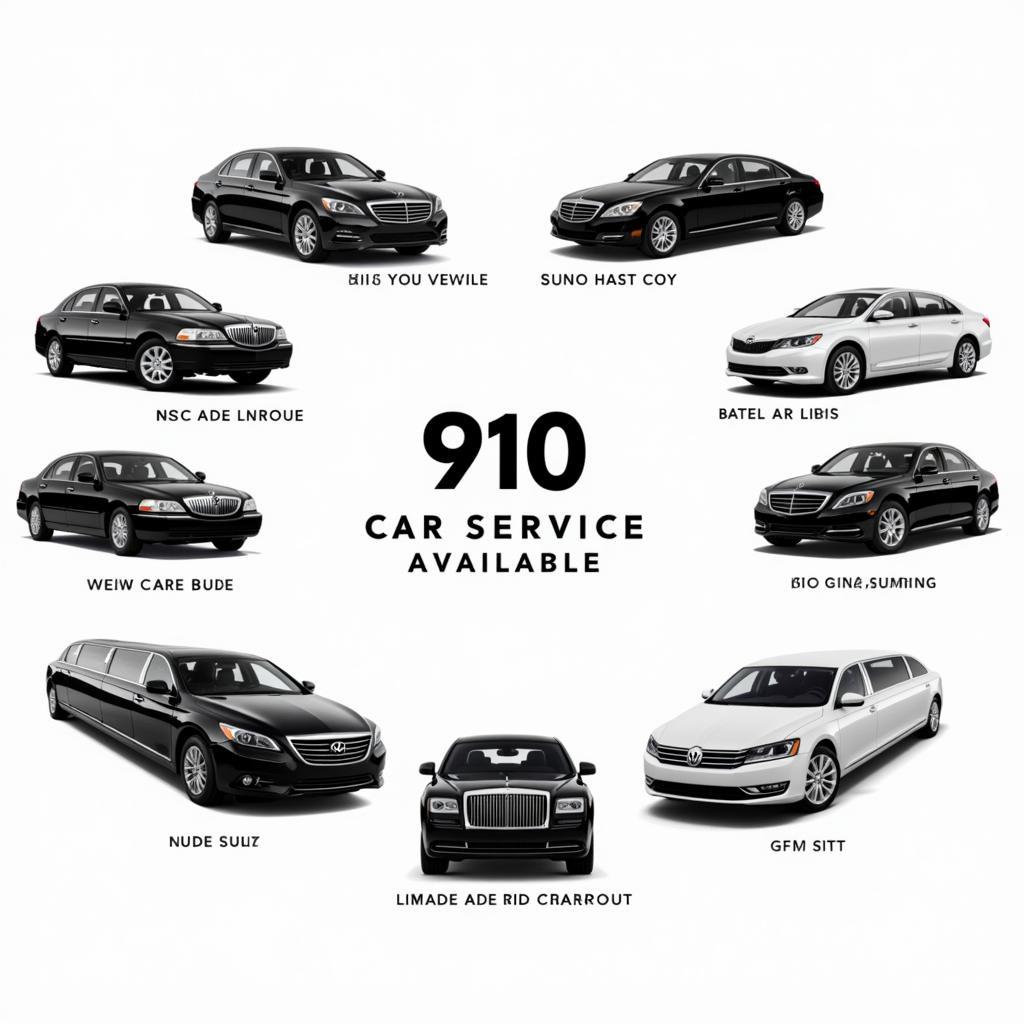 Various 910 Car Service Options