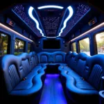 A 1 Carma Luxury Limo Interior