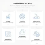 A La Carte Car Service Options