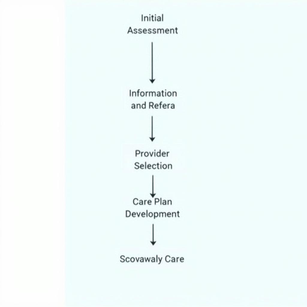 Accessing Haven Care Services: A flowchart illustrating the steps involved in accessing haven care services, from initial assessment to receiving care.