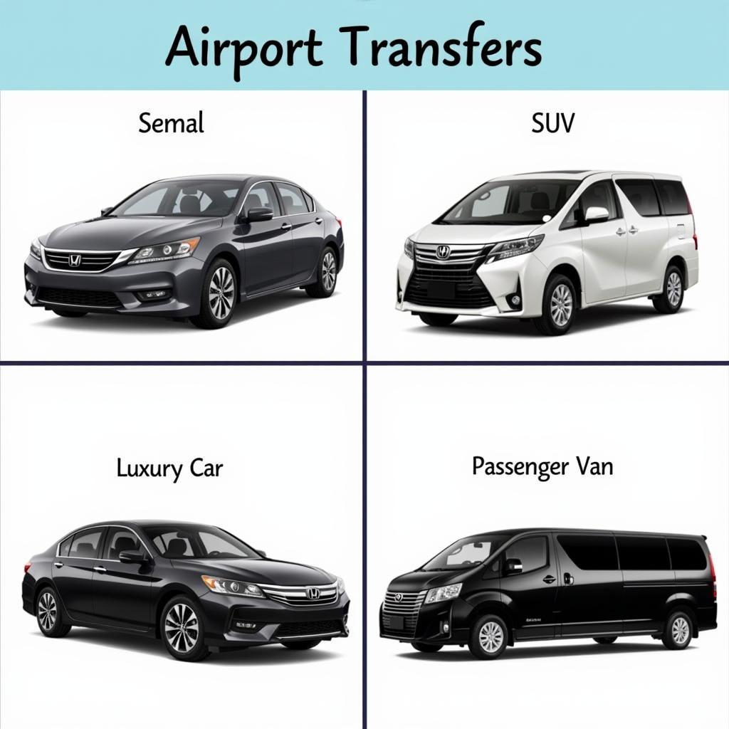 Amsterdam Airport Transfer Options