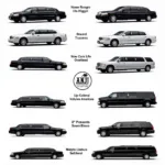 A.N.J Car and Limousine Service Fleet Options