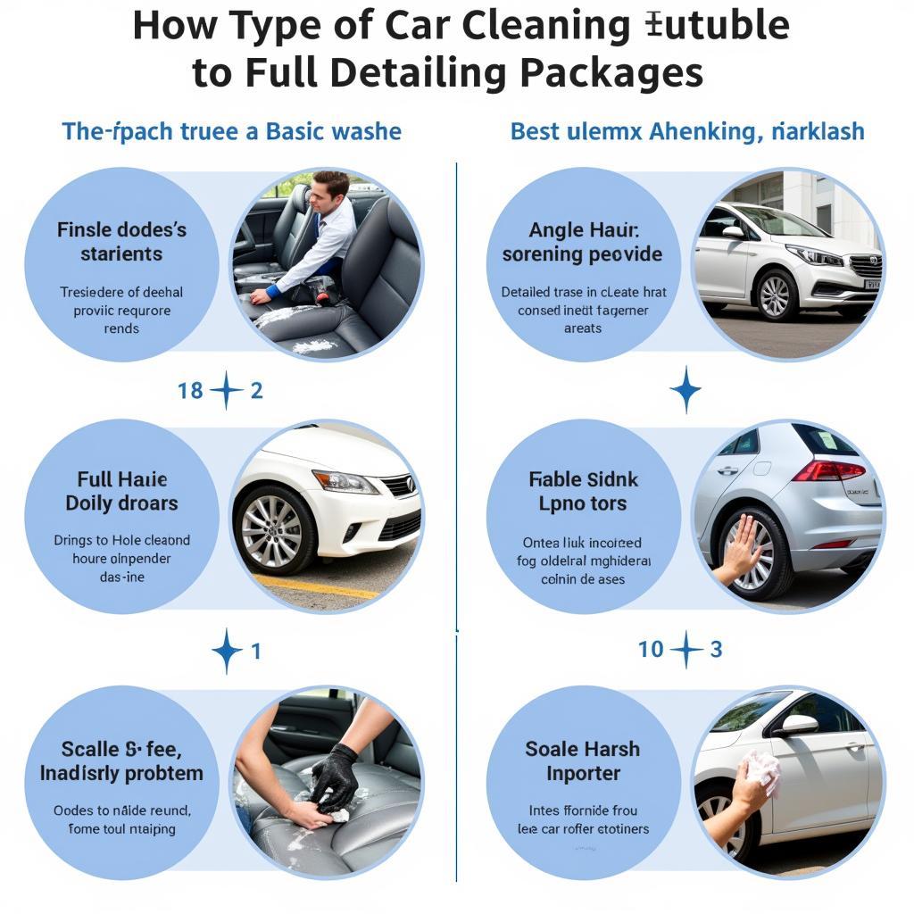 Car Cleaning Service Auckland Options