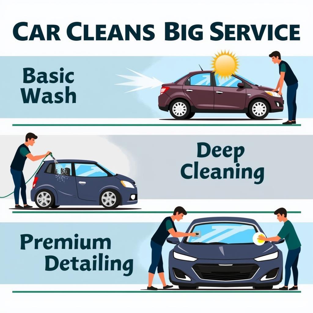 Types of Car Cleaning Services Available