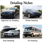 Choosing the Right Car Detailing Niche