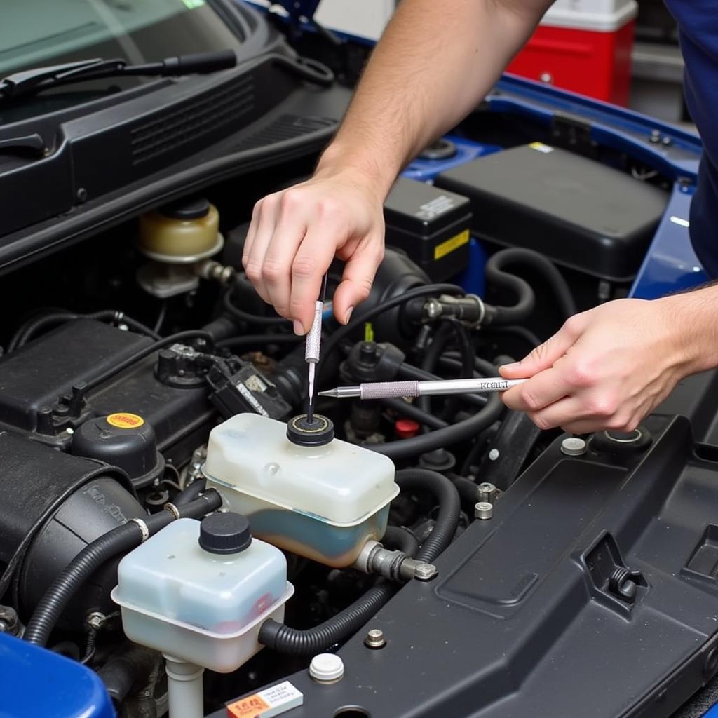 Mechanic checking fluid levels in a car during a routine service