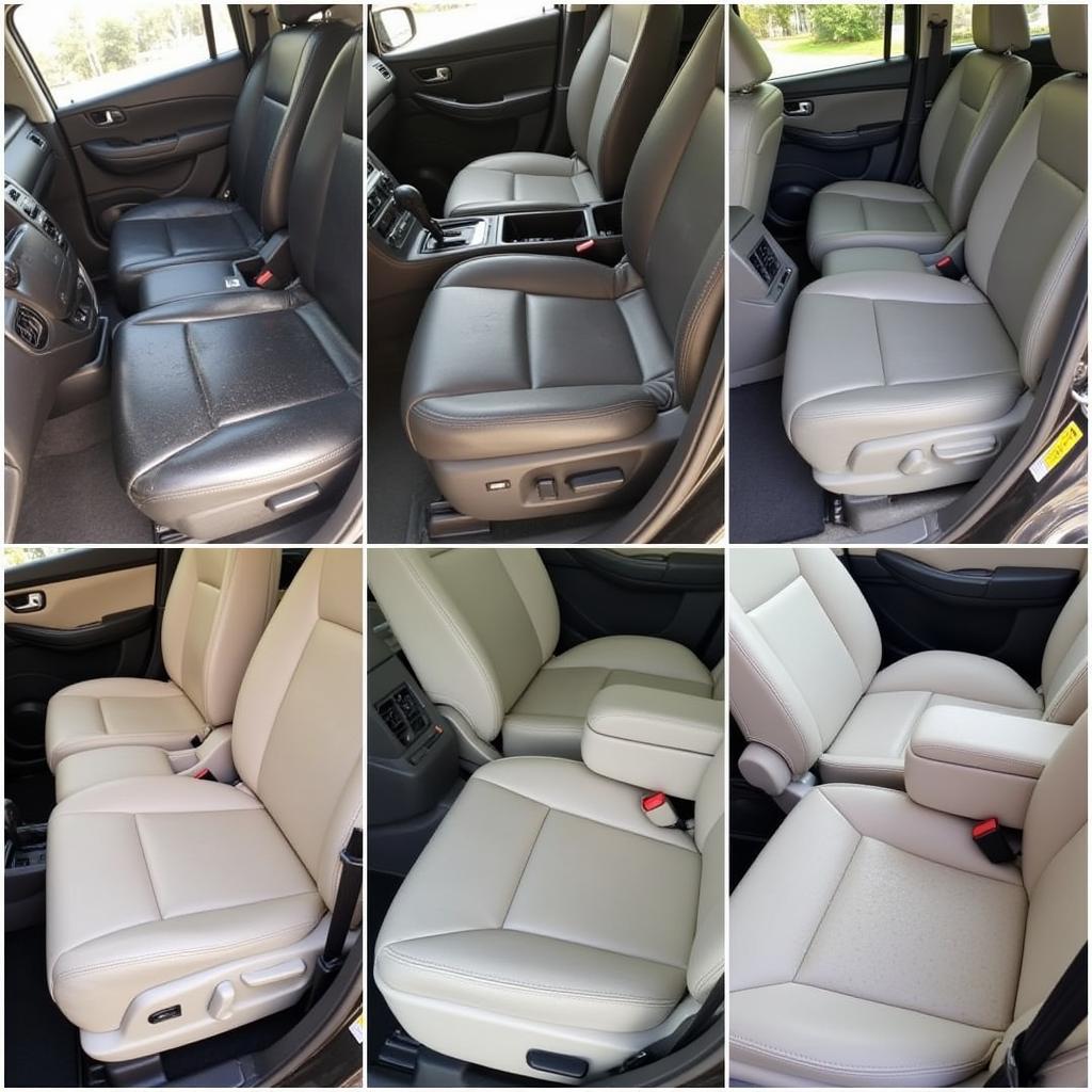 Car Interior Cleaning Service Options in Pune