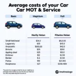 Car MOT and Service Cost Breakdown