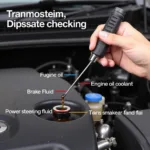 Checking car fluids using dipstick