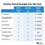 Car Service Levels Comparison Chart