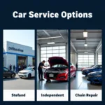 Car service options: Dealership, Independent Garage, and Chain Repair Shop