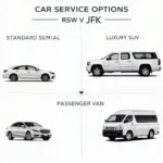 Car Service Options from RSW to JFK