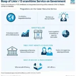 Career Executive Service Impact on Government