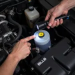 Mechanic Checking Brake Fluid Level in Car