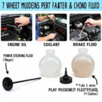 Checking Car Fluids: Oil, Coolant, and More