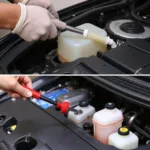 Checking various car fluids like engine oil, coolant, and brake fluid