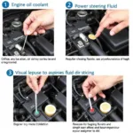 Checking Diesel Engine Fluids: Oil, Coolant, and Power Steering Fluid