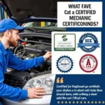 Choosing the Right Car Health Service Provider - Certified Mechanics