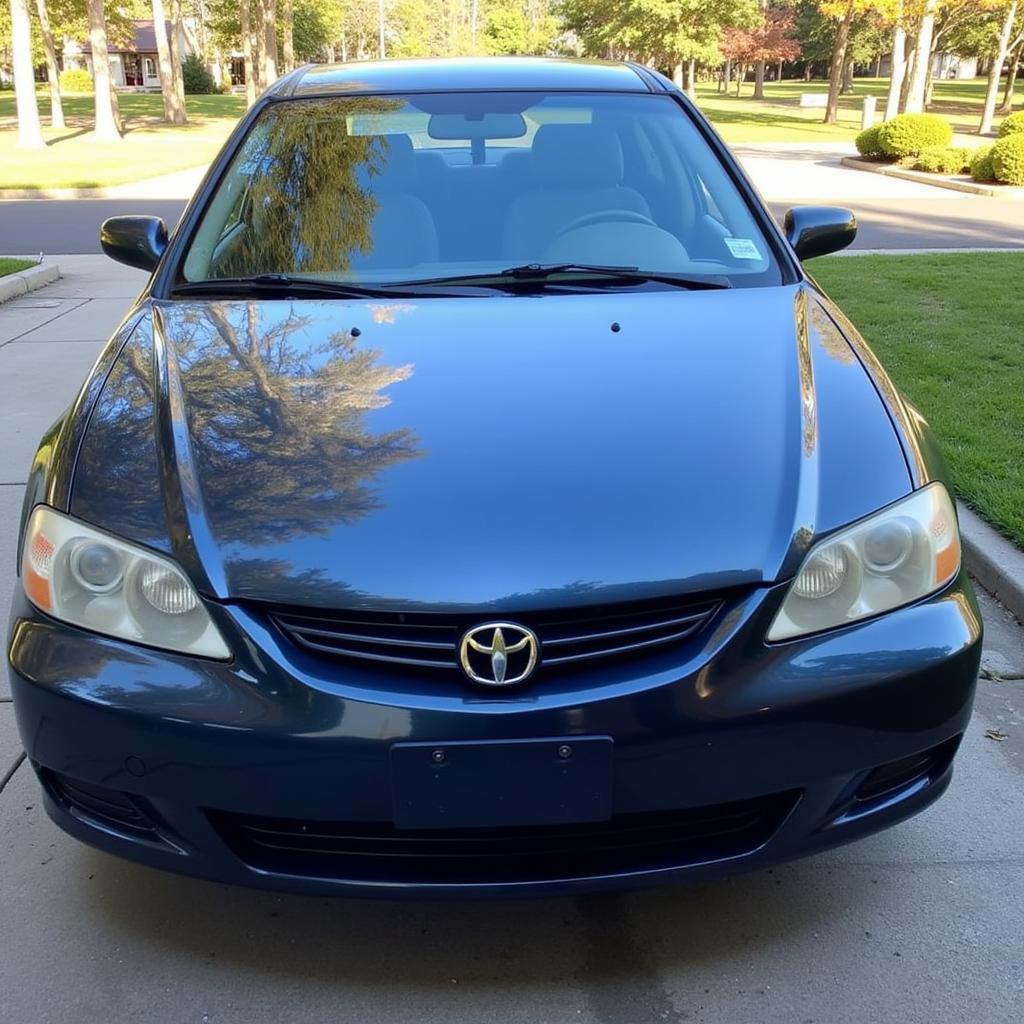 Sparkling Clean Car After a Wash