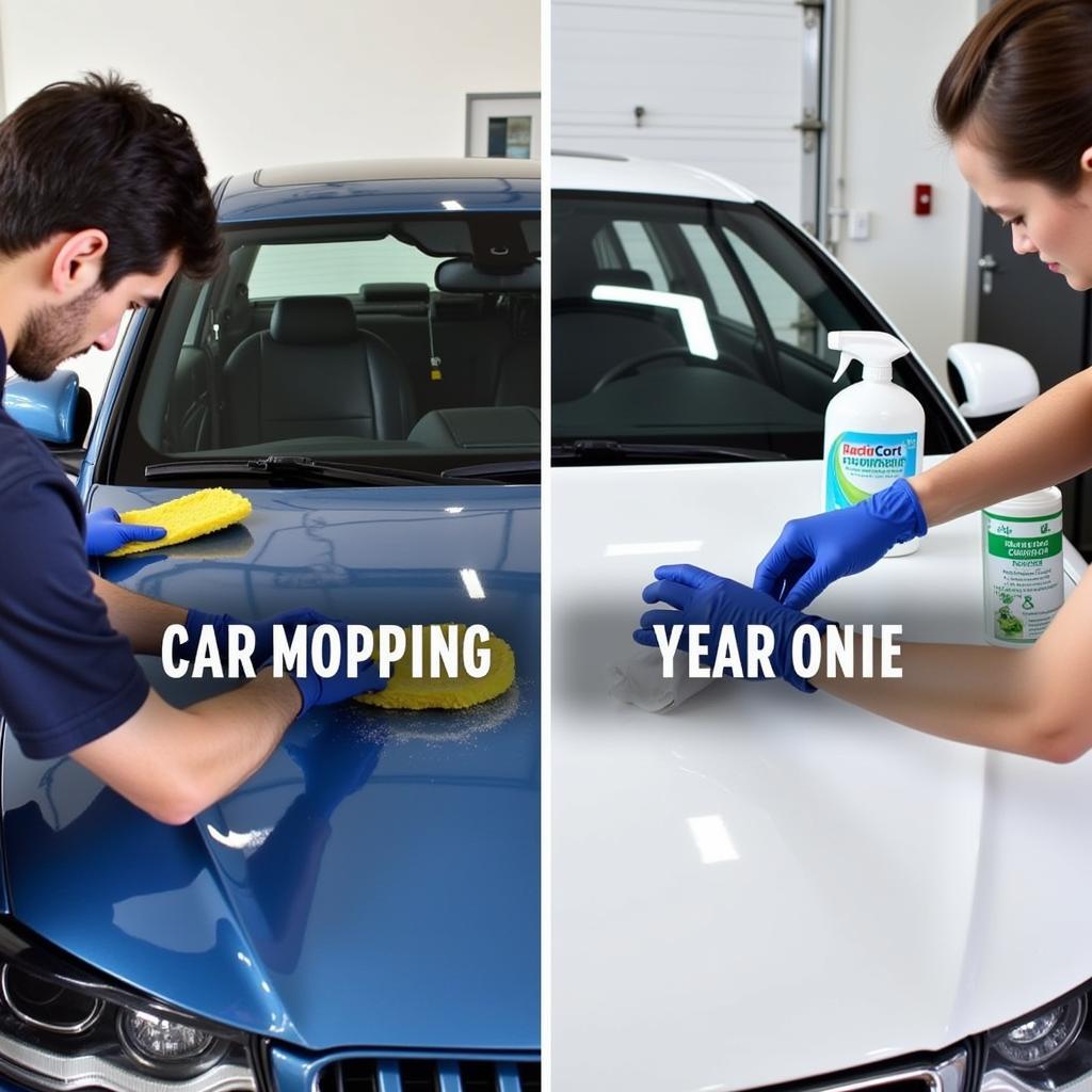 Comparing Car Mopping Service Providers