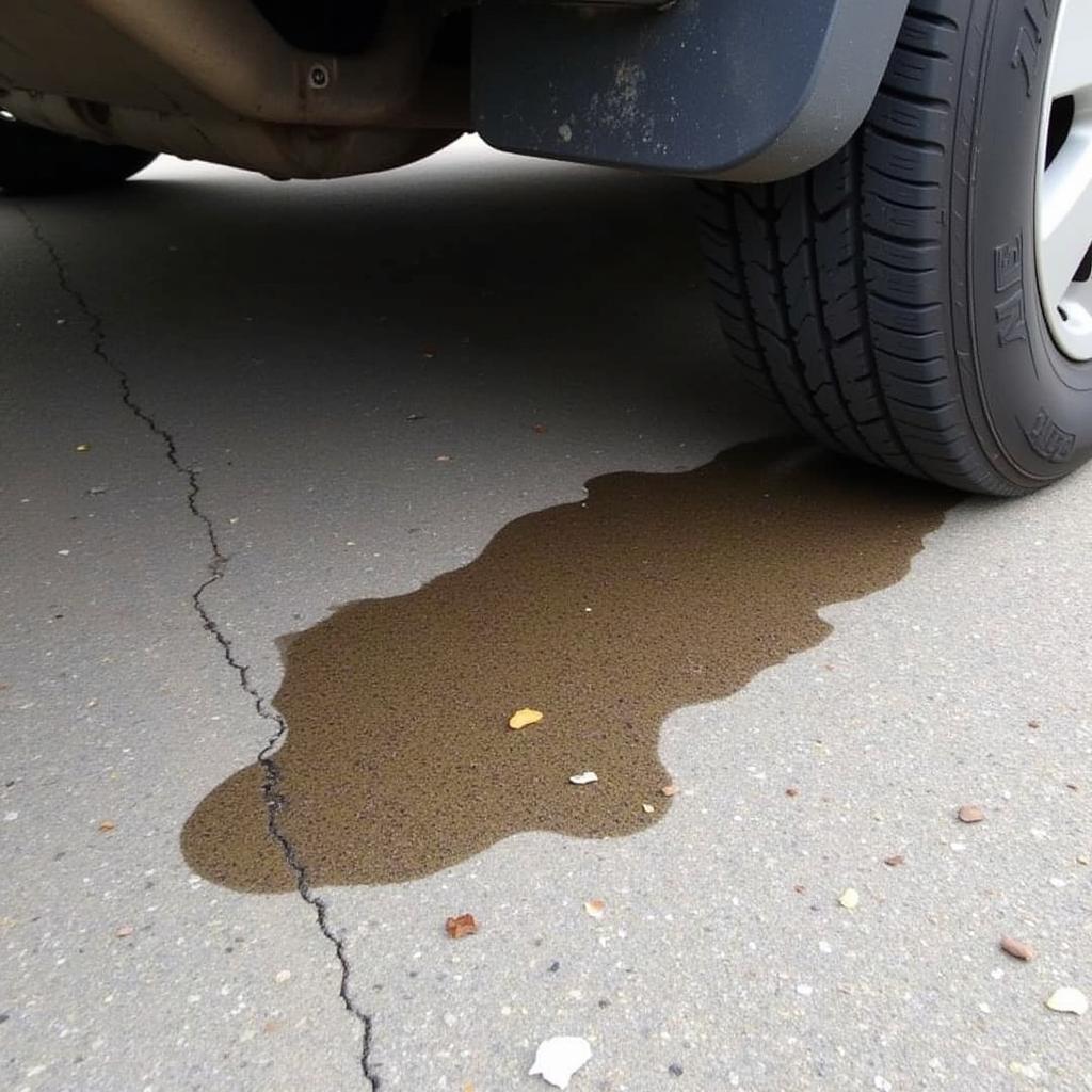 Differential Fluid Leak Under a Car