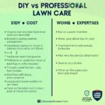 DIY vs. Professional Lawn Care Comparison