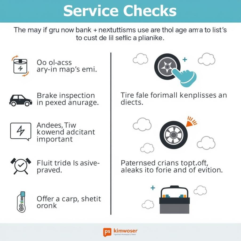 Essential Car Service Checks Infographic