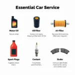 Essential Car Service Items