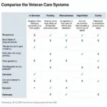 Global Veteran Care Comparison Chart