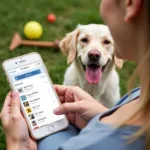 Pet Owner Using a Pet Care App