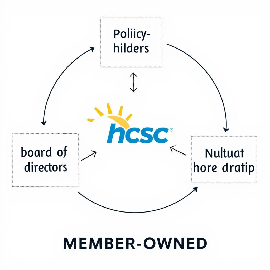 HCSC Mutual Structure Diagram