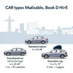 Heathrow to London Car Service Options