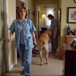 Home Health Care Safety Concerns: Image depicting a home health care worker facing a dangerous situation, such as an aggressive pet or unsanitary conditions.