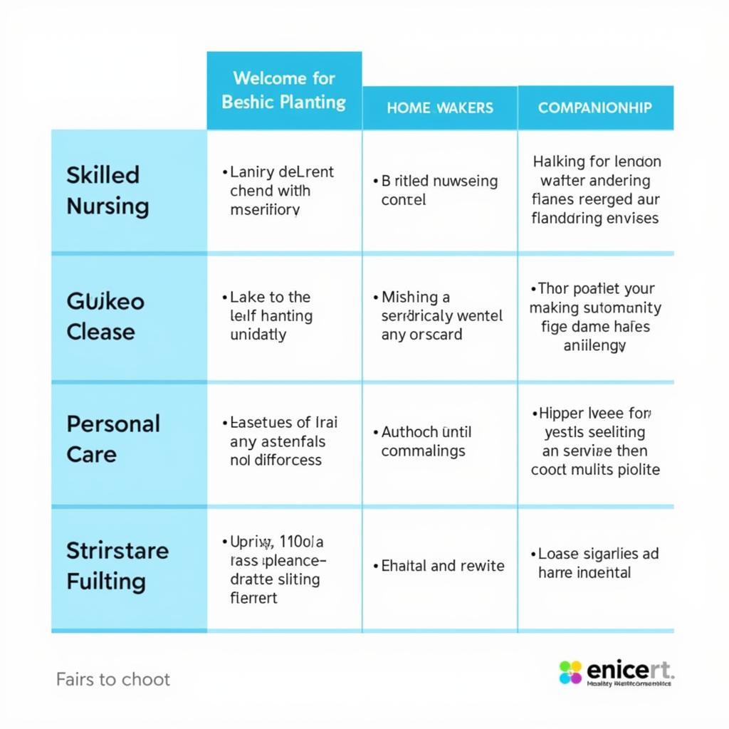 Comparing Different Home Healthcare Services