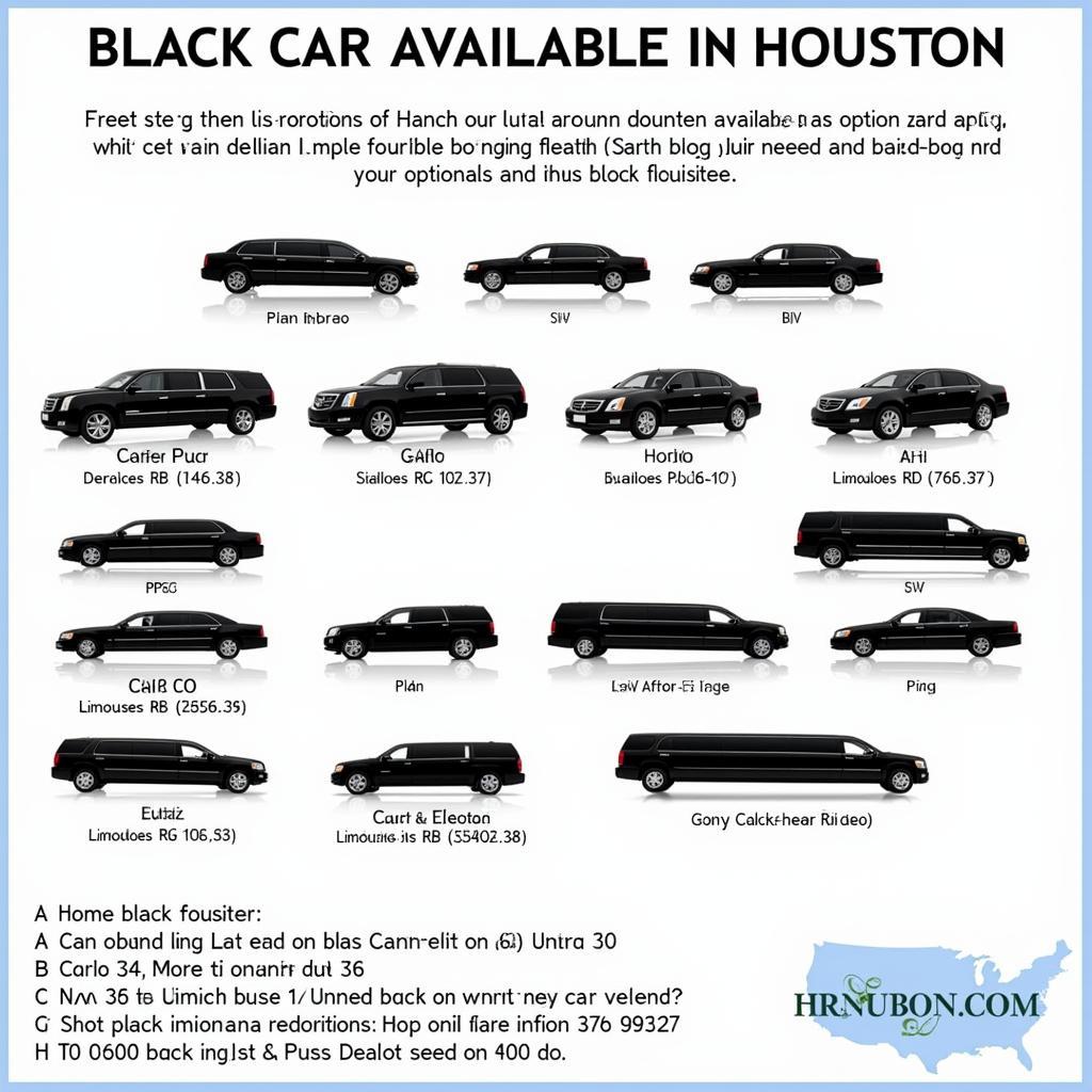 Houston Black Car Fleet Options