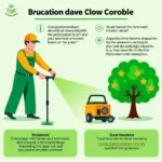 Lawn Care Services: Pest and Disease Control, Tree and Shrub Care