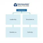 Life Care Services Organizational Structure Diagram