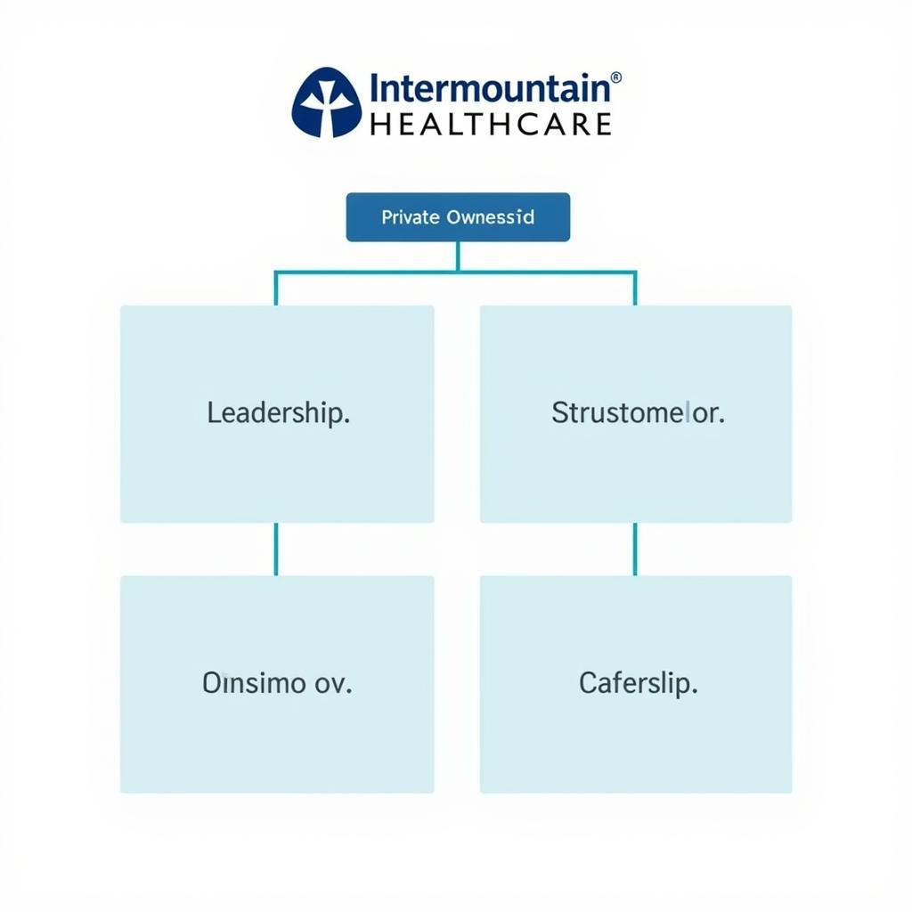 Life Care Services Organizational Structure Diagram