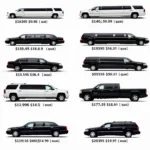 Limousine Types and Pricing Variations