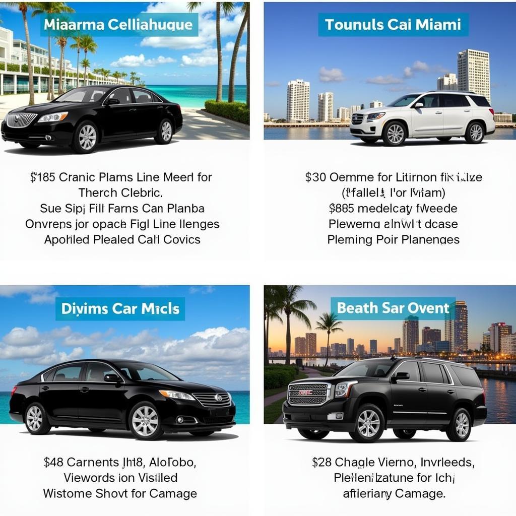 Miami Car Service Options: A variety of vehicles to choose from