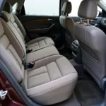 Musty Car Interior with Visible Mold Growth