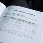 New Car Maintenance Schedule in Owner's Manual