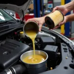 Car engine oil and oil filter change