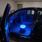 Car detailing with ozone generator