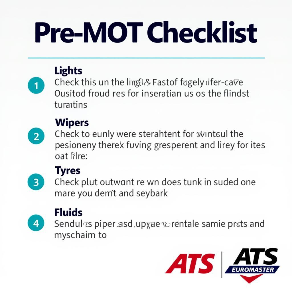 Pre-MOT Checklist at ATS Euromaster