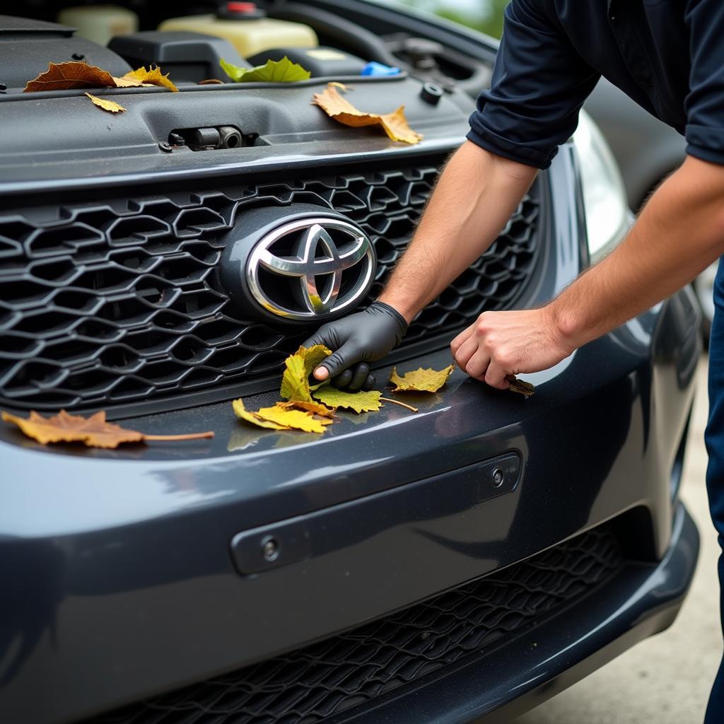 Removing Debris Before Car Service