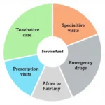 Service Fund Allocation in Managed Care