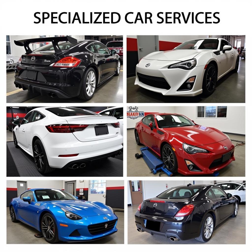 Examples of Specialized Car Services