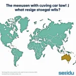 Taxi Car Seat Law Variations Across Different Regions